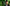 Shohei Ohtani Partners with Ito En to Promote Japanese Matcha Globally — What It Means for US Buyers