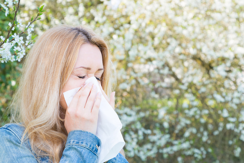 New Research from Japan: Can Matcha Alleviate Sneezing and Hay Fever?